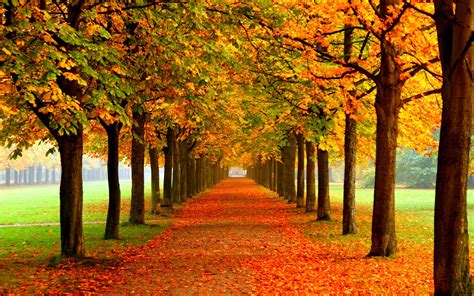 wallpaper of autumn season|free screen savers background autumn.